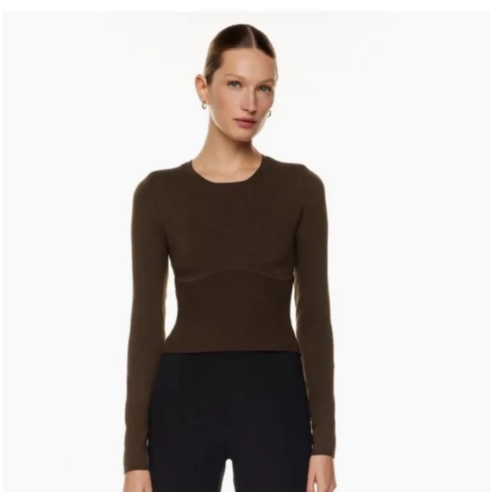 Babaton Sculpt Knit Empire Long-sleeve corset top in brown